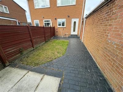 Picture 11